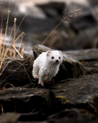 05af9827-f0c0-4f1b-a9c5-d6f7bf11380d