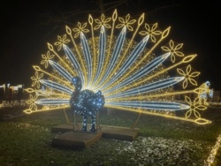 b2aa6bb1-a3fd-40c1-95c2-b94918db4431