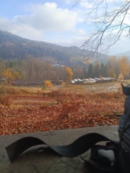 e38a55f8-e03d-4685-889b-d98a0b3bb54b