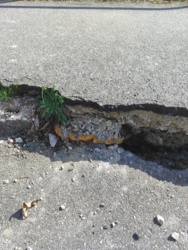 a56de5f7-8710-4529-9e58-c19bf3df57cc