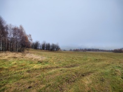 381646fd-e6ae-464e-a589-b87076b021a2