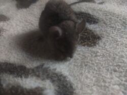 85b3dab0-10e4-476b-999b-37684bd0dfc6