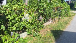 698d2ade-1edf-424b-b268-3454a8141794