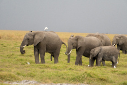 ef243fba-4247-4d4d-b7b3-1008f24bf4c0