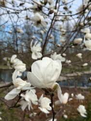 97adb18d-42eb-469e-aa22-a24c88c3e48b