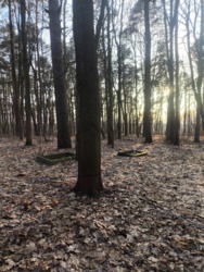 8ccd85ba-a643-46b5-9712-5efeac56584b