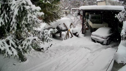 60da46b9-a505-4f25-9d1c-5b3548a374f3