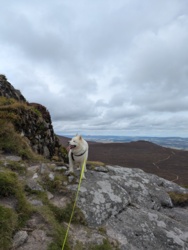 37399f65-3f6c-4b42-88e1-781fffa7ceb3