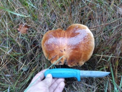 e075b7e4-2941-4ede-8c3f-3d6db488c245