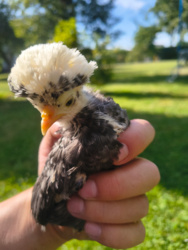 4b9062d8-5877-44c8-81d2-194873ceeaa5