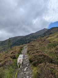 38ae11c1-b823-4da5-8cfd-de3763be0610