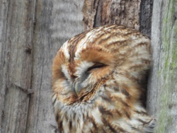 692bff3c-38f9-422c-a4ac-b18db67a0350