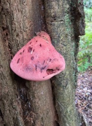 10114579-a271-4034-b9de-5d6cac7610ed