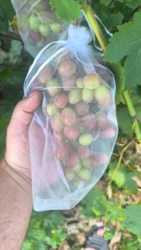 12449946-9d21-451d-9428-1c6f37cd12f0