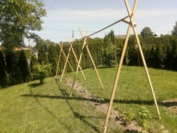 d05c904e-e45f-4c33-b246-bc1b03fe0140