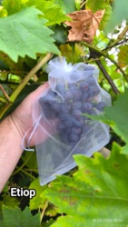 dfb1b4ef-044e-4292-ad92-97af954ea059