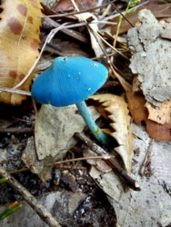 7a328848-16eb-4c6e-8a8d-35baadf8b9ff