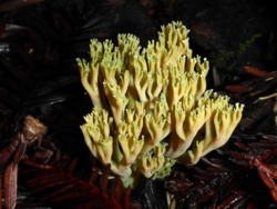 011212d2-fddd-411e-b9a6-cf45ffbeea3a