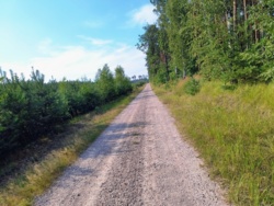 c73708b8-0de5-4fe3-ac52-b9574cd7d862