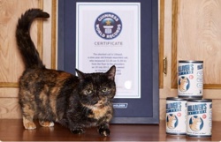 a25aa87f-3ce7-42b0-8a55-0b5bd7f8ed3e