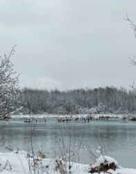 129e14fb-a1a5-4c6b-8213-c0642b2c9f97