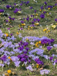 9c731ad6-3b90-4cb3-a7ff-b36e1e48d764