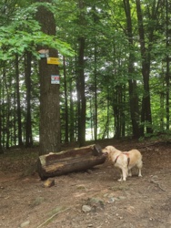 7d43ce9f-cc23-4d3f-90a3-6a3ec1aac1f3