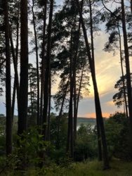 ae57c5fe-ddc7-4bcb-b2aa-0c91c5920477