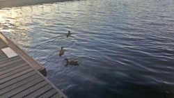 f7c65df8-43be-46c8-9875-1eff68032dcb