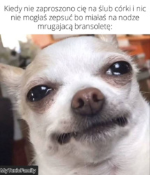 31e176a3-d3ac-4b70-aa7e-89b9e012b384