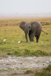 01f5c63e-fa71-4ebb-89d5-02c3cdfb14cd