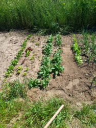 1ea83ca4-d150-44fa-81ec-d7944a8bd38f