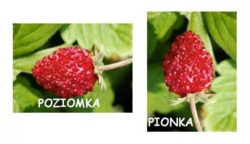 0a40e816-ca27-40b8-adcf-ccef76b506b0