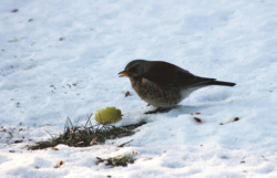 c77ccc85-1d3e-461b-949b-d08f3057bef9