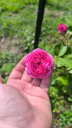 57d9e1d6-df49-4b3b-a4ce-cdd9226160c4