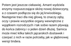 ed541991-24fd-4e14-9532-1f2d0e7eb2b1