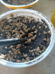 60ee943c-1914-4a8c-ad17-01de67d1a5a9