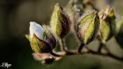 71d19119-0629-4774-bbdb-f637ea0cb485