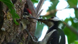 c6d257d5-2d85-49e7-886f-c47186da5538