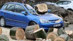 Orkan Eunice. 20 tys. zdarzeń i 180 tys. zgłoszeń w związku z silnym wiatrem. Cztery ofiary