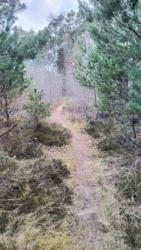 3d6dfad7-8517-4dd2-9bda-5fdffa161881