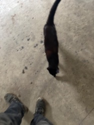 188761f3-e7f1-4182-9c22-2364774b4e75