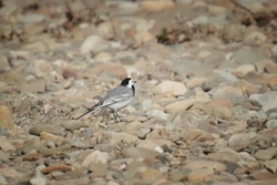 a94196d4-536c-4872-b65d-51474f734b70