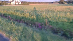 8ca91f7d-13ac-4422-a08a-7316a448e42e