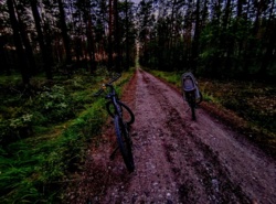 257b817a-04ac-463a-b7e6-1186f6e78cbb