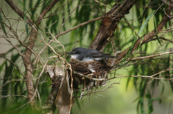 6afe60df-b3e6-4bcc-8bdf-57da3d505188