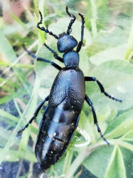 ebfbcc6d-3ecc-4983-90dd-76a93d8f2137