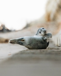 96ff9a6a-7b70-47d7-9a92-797572de7b71