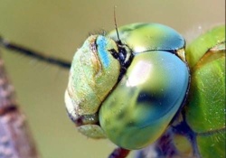 ef7285b0-0d8d-409e-91b6-596adcb1a8ab