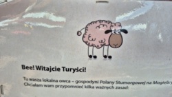 a50e813a-7dce-45c9-a54f-fe91a60007ba